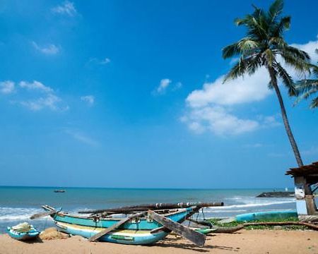 Aloe Vera Villa Negombo Ngoại thất bức ảnh