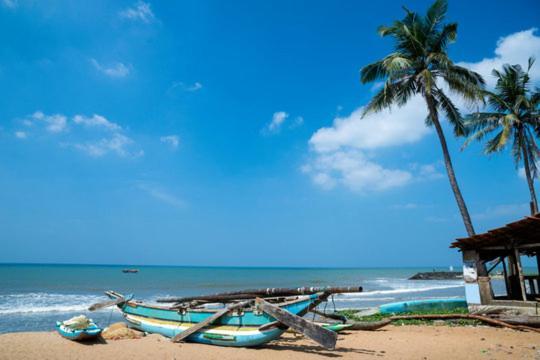 Aloe Vera Villa Negombo Ngoại thất bức ảnh