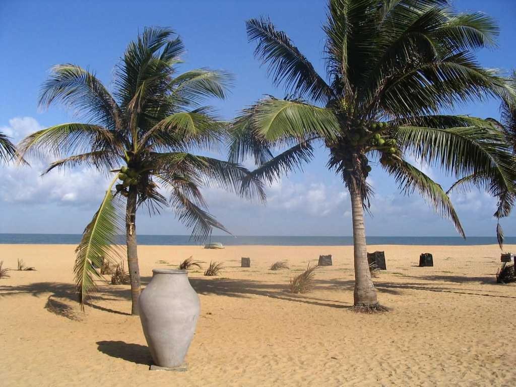 Aloe Vera Villa Negombo Ngoại thất bức ảnh